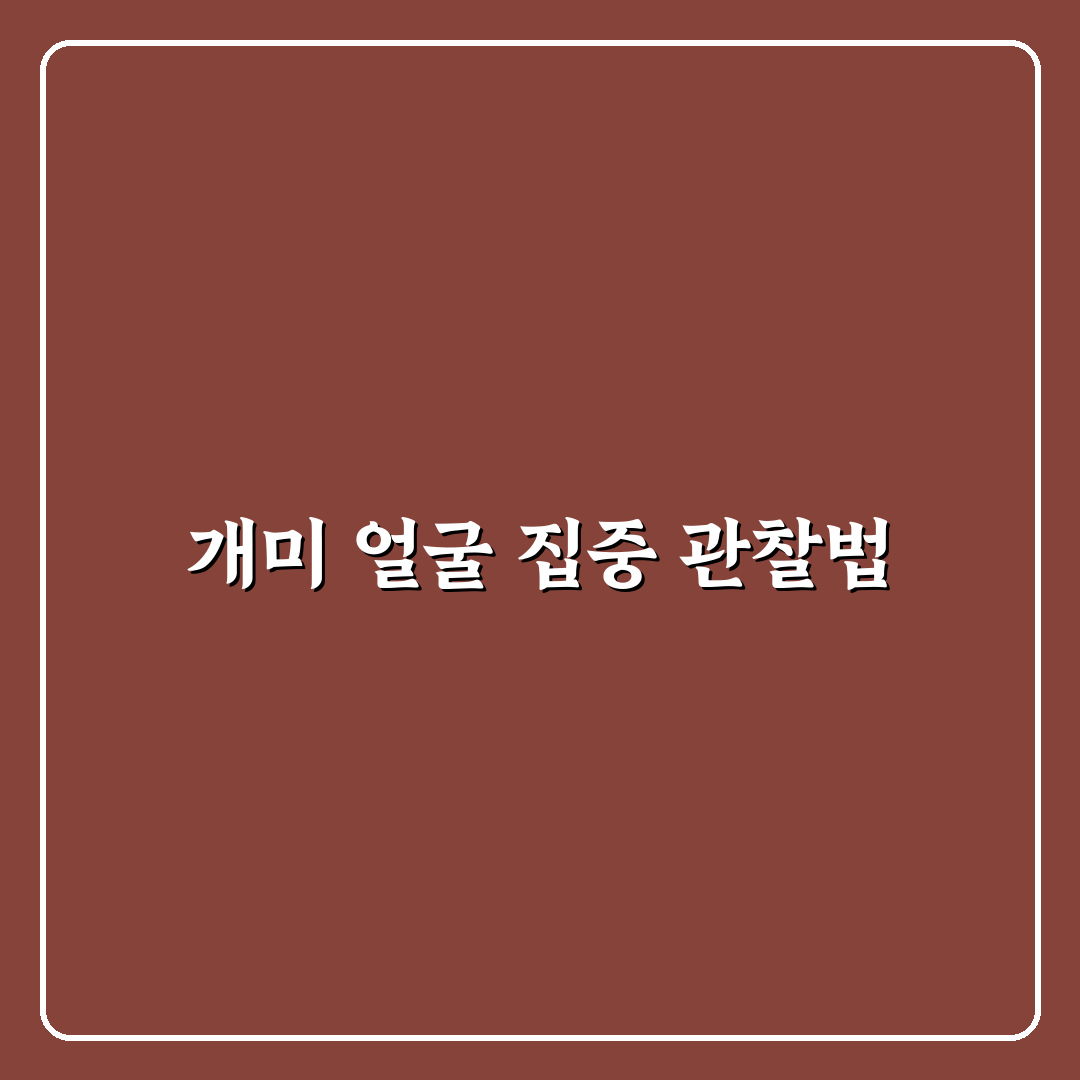 개미 얼굴 현미경 관찰 가이드와 주요 체크포인트 분석