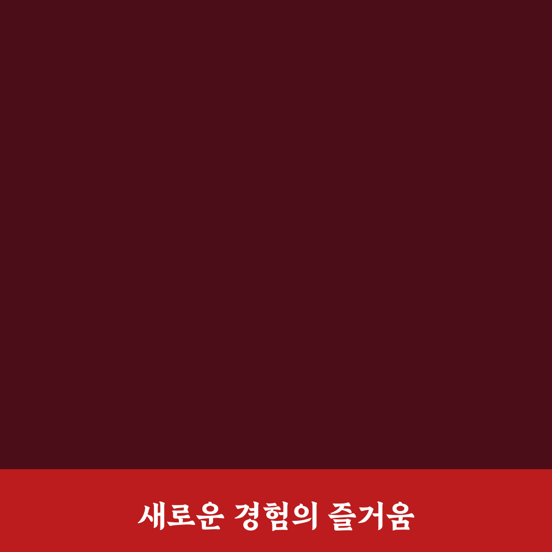ott 쉐어 직접 이용해보니 알게 된 장단점
