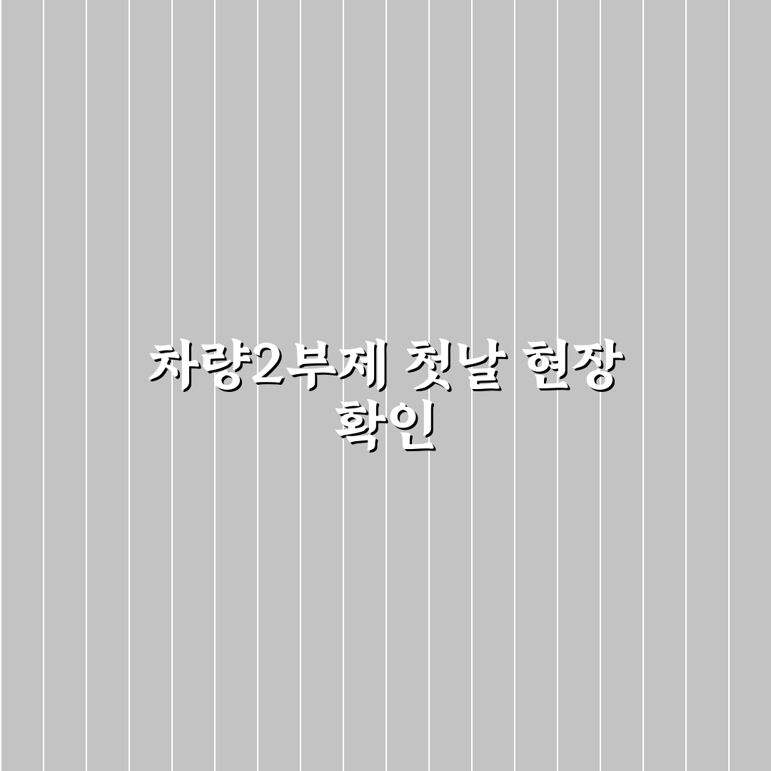 차량2부제 민원인 직접 알아보니 불편한 점과 개선 필요사항