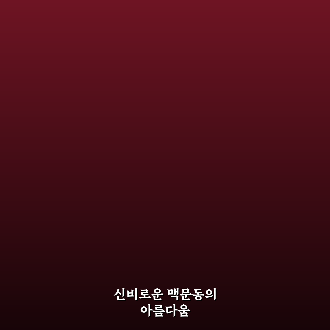 맥문동 꽃 피는 시기 직접 알아보니 변화가 보여요