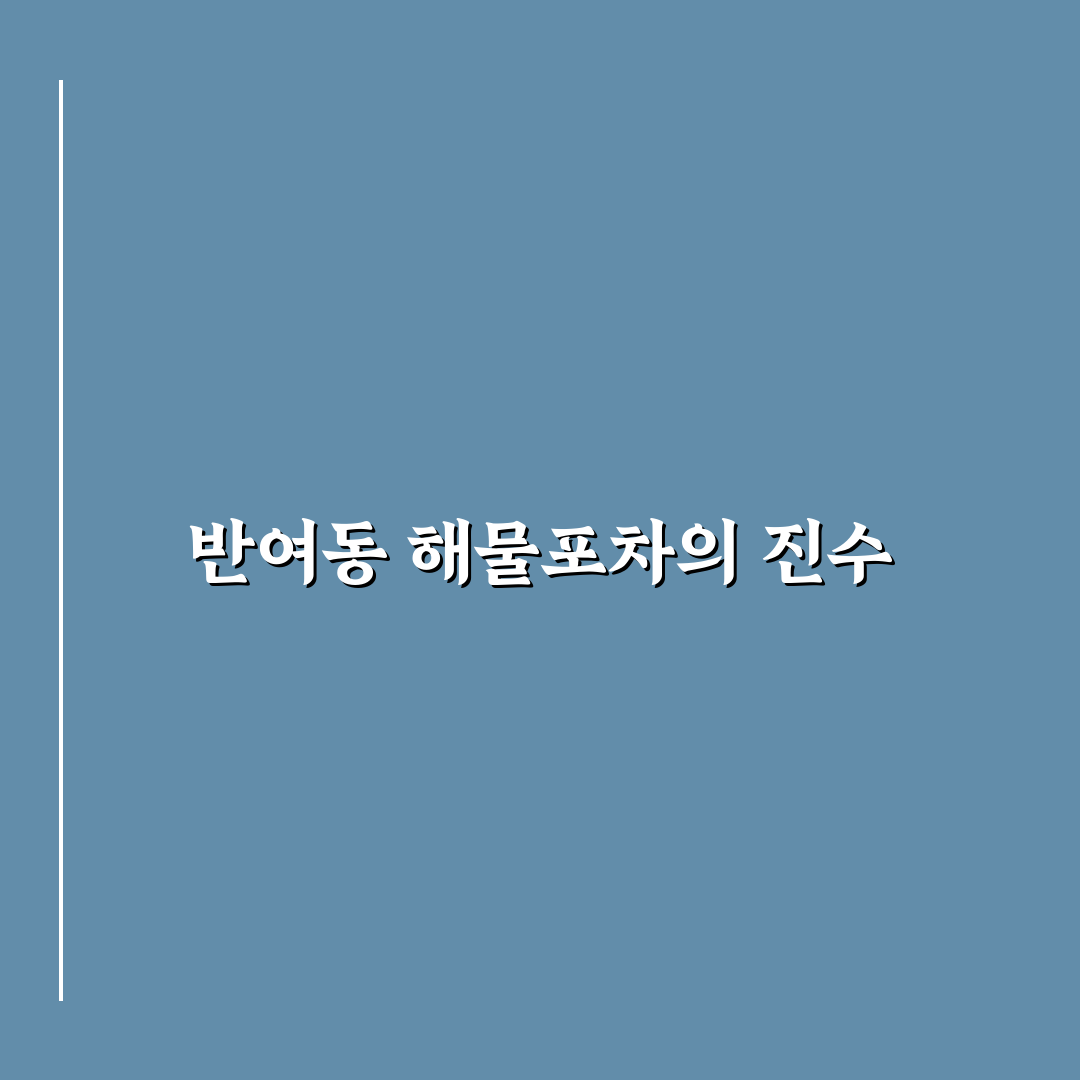 반여동 해물포차 방문 전 알아두면 좋은 꿀팁 정리
