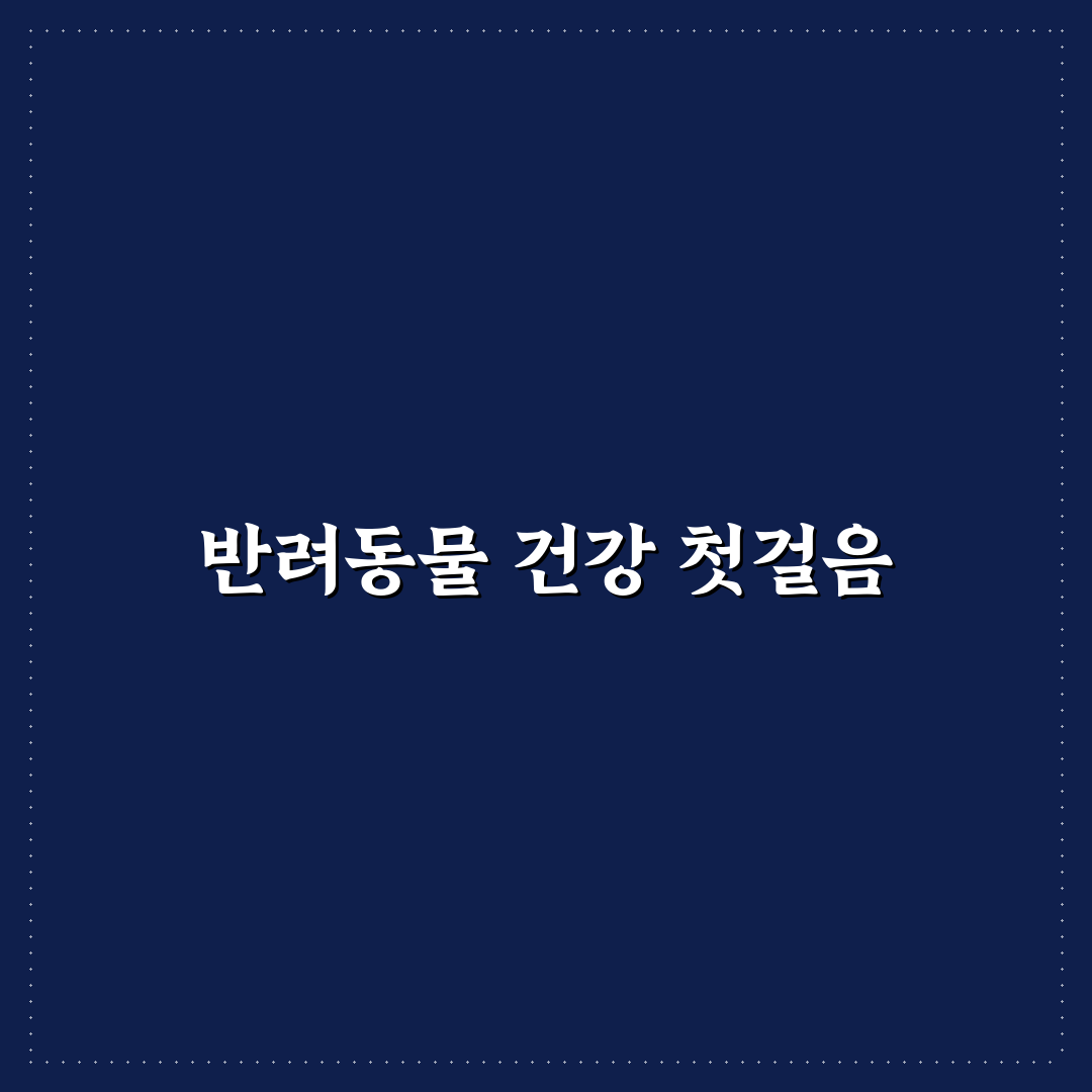 레카덤 오메가3 펫 사용 후기, 반려동물 변화 살펴보니