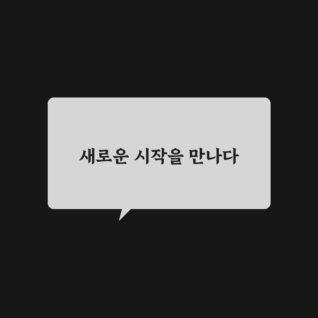 튤립 인터내셔널 이용 후기, 실제 경험해보니 어떤지