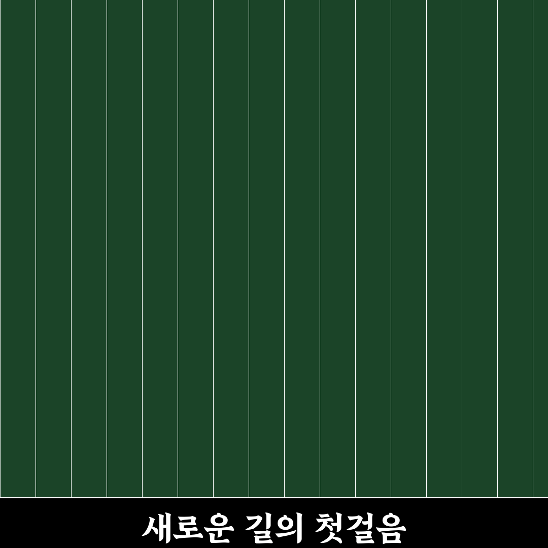 목포 물망초 방문 후기, 직접 가보니 분위기와 맛은?