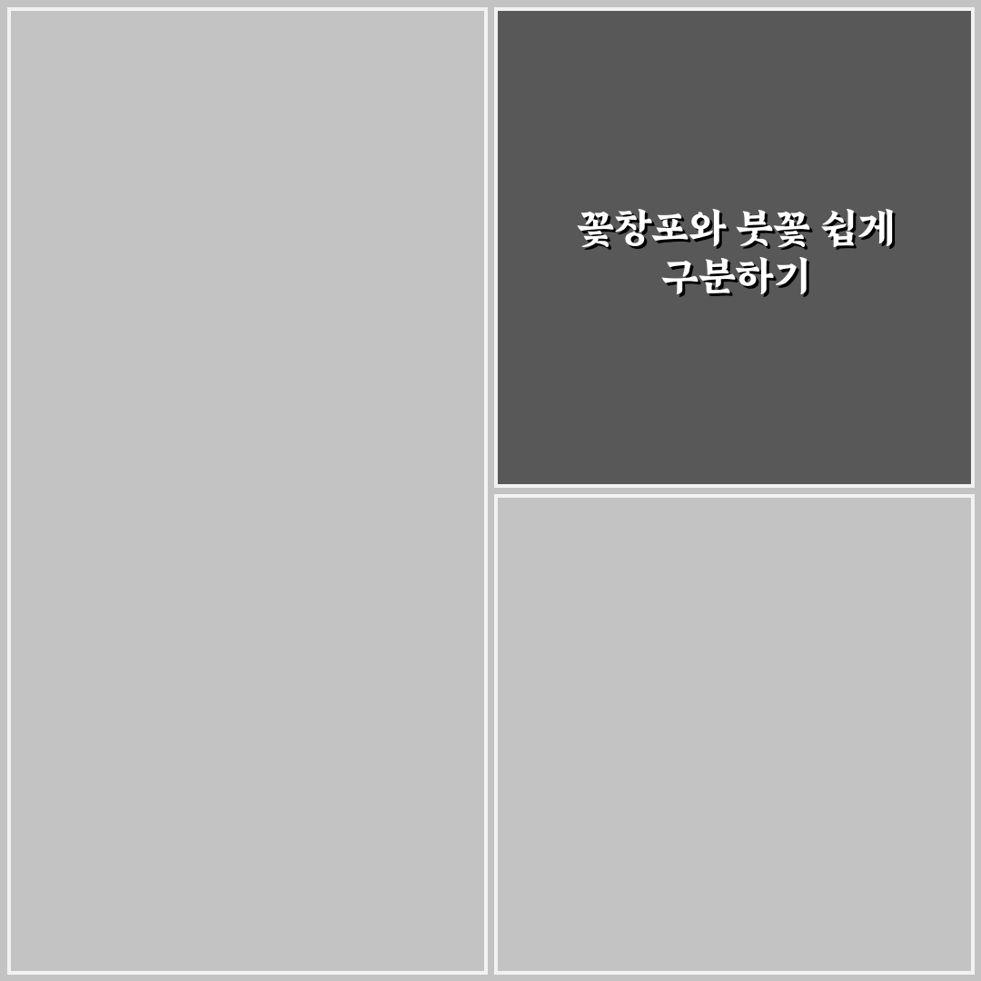 꽃창포 붓꽃 차이와 특징 5가지 비교 분석 가이드