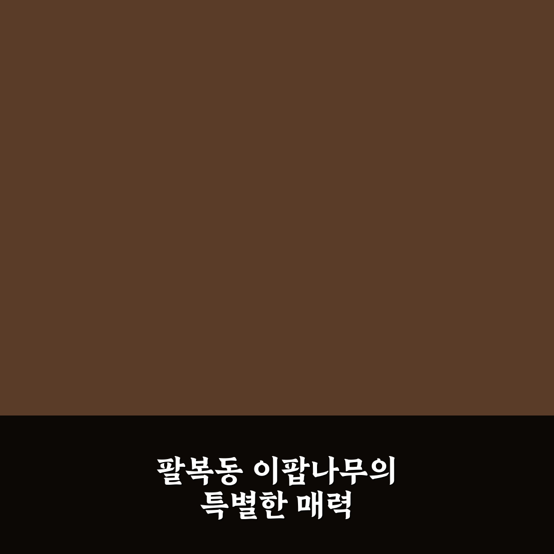 팔복동 이팝나무 철길 경관과 접근성 비교 분석 가이드