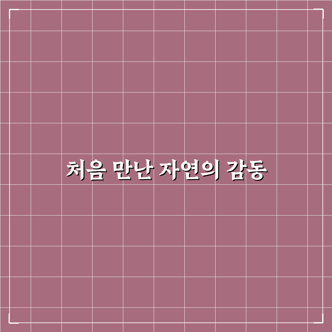 남원 바래봉 철쭉 방문 후기, 직접 가보니 풍경은 어땠나