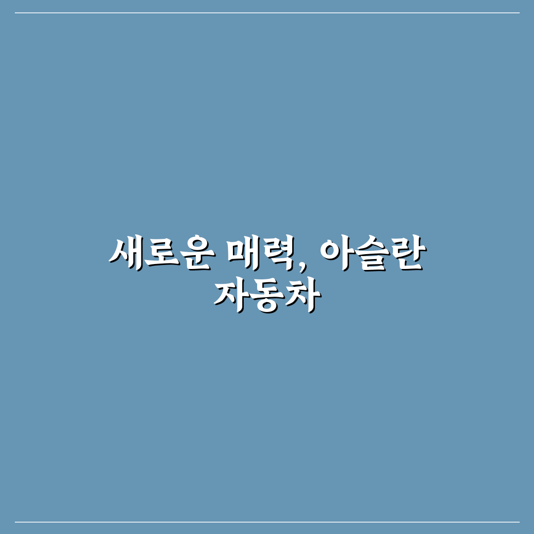 aslan 자동차 사용 후기, 직접 써보니 느낀 점