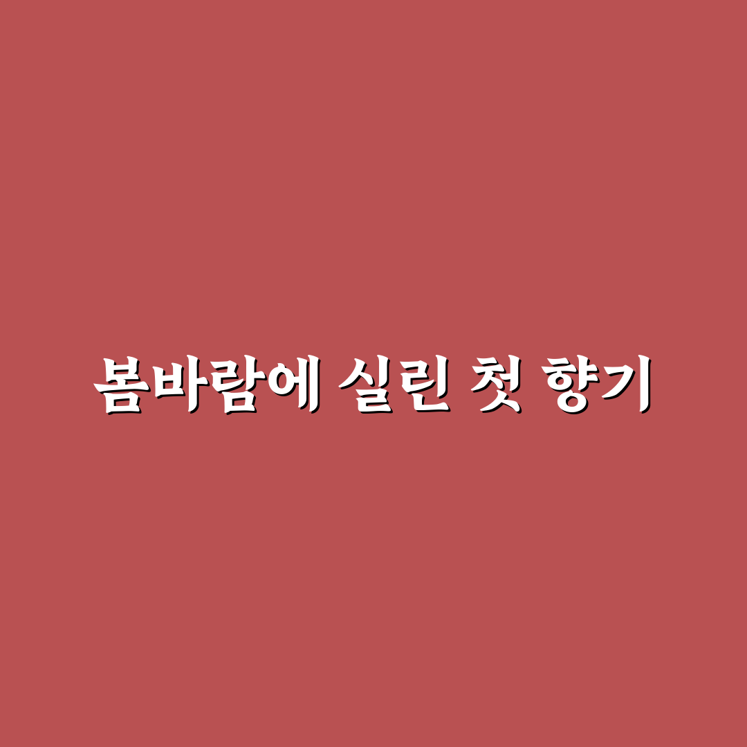 찔레꽃 피는 시기 직접 알아보니 변화가 느껴졌어요