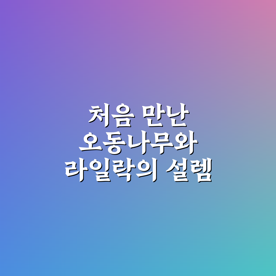 오동나무 라일락 차이 직접 알아보니 느낀 점