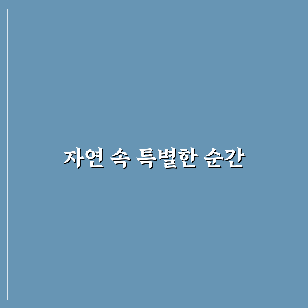 예덕나무껍질 사용 후기, 직접 써보니 달라진 점