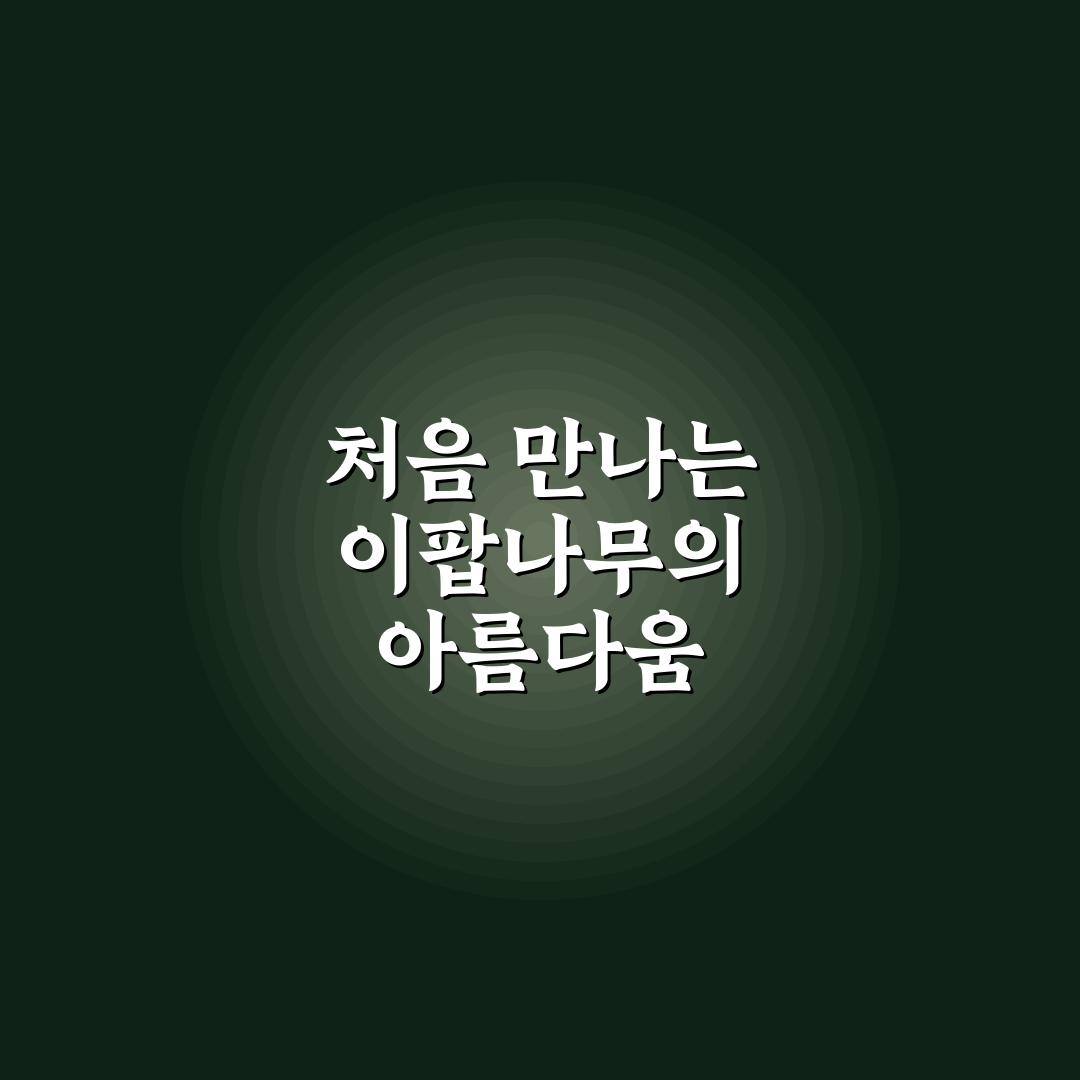 이팝나무 명소 경기도 방문 후기, 봄 풍경은 어땠는지