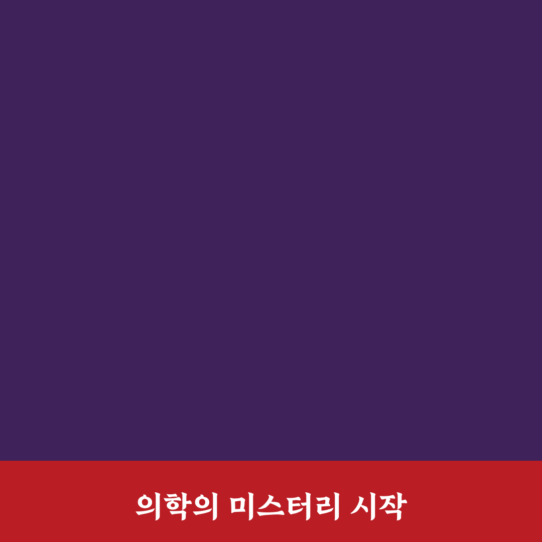 섬망 의학용어 직접 알아보니 이해하기 쉬웠던 점