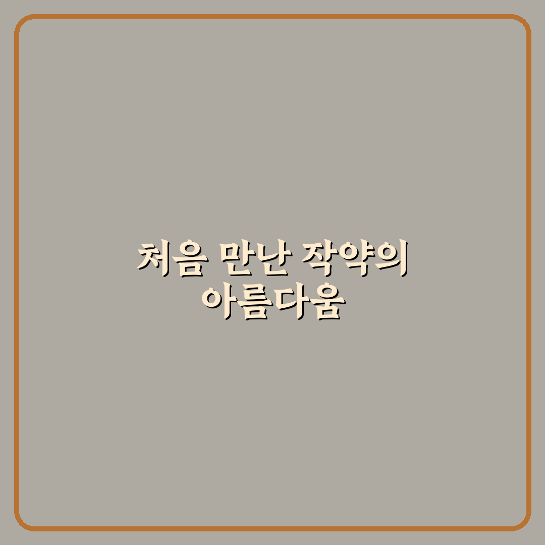작약꽃 피는 시기 직접 알아보니 계절별 변화가 있더군요
