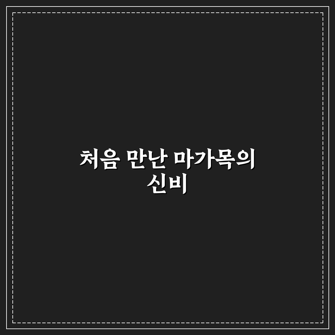 마가목가격 알아보니 변동폭과 구매 팁까지