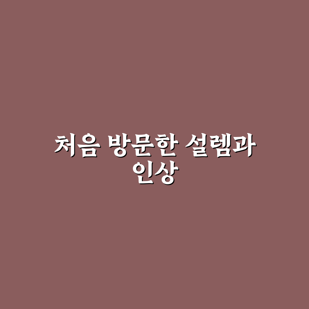 박샘헤어 방문 후기, 시술 과정과 서비스 솔직한 경험담