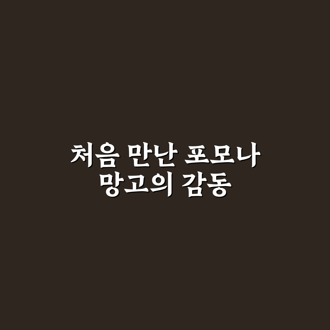 포모나 망고 사용 후기, 직접 써보니 맛과 식감은?