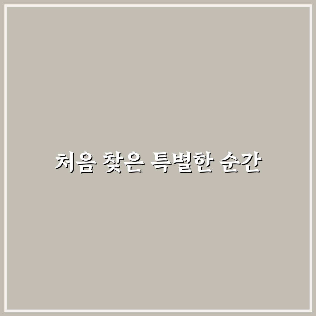 포포나무 식당 방문 후기, 직접 가보니 분위기와 맛은