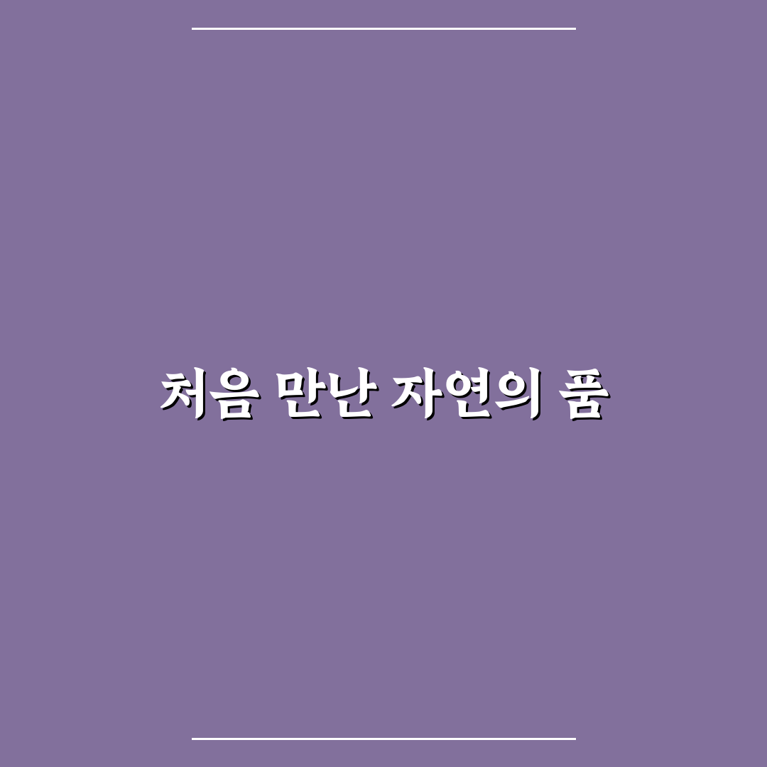 퇴촌 시골집 방문 후기, 한적한 풍경과 실사용 느낌