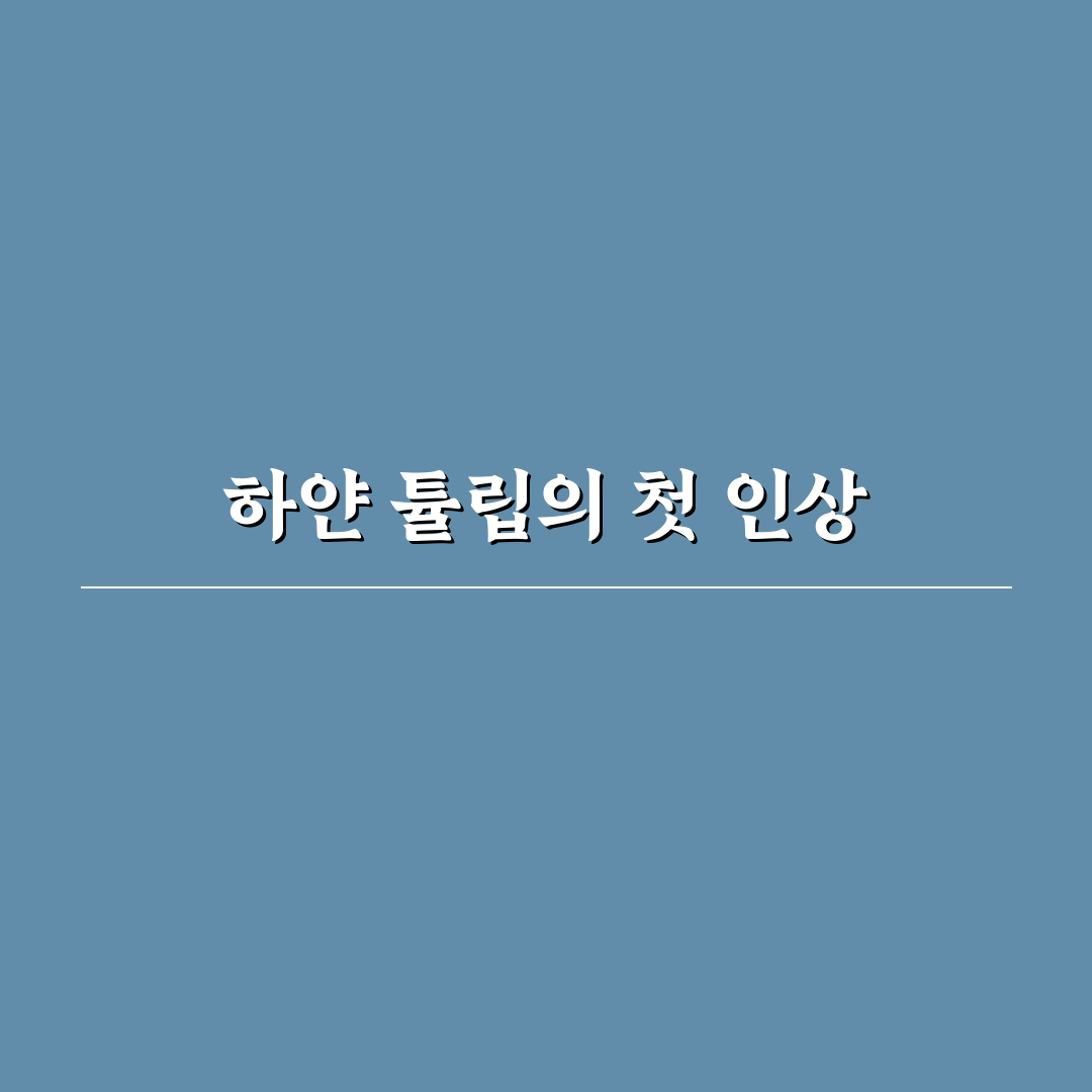 하얀 튤립 꽃말, 직접 알아보니 뜻이 더 특별했어요