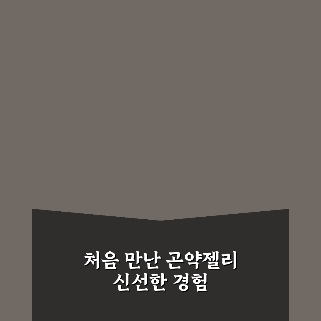 일본 곤약젤리 수화물 규정, 직접 알아보니 불편한 점