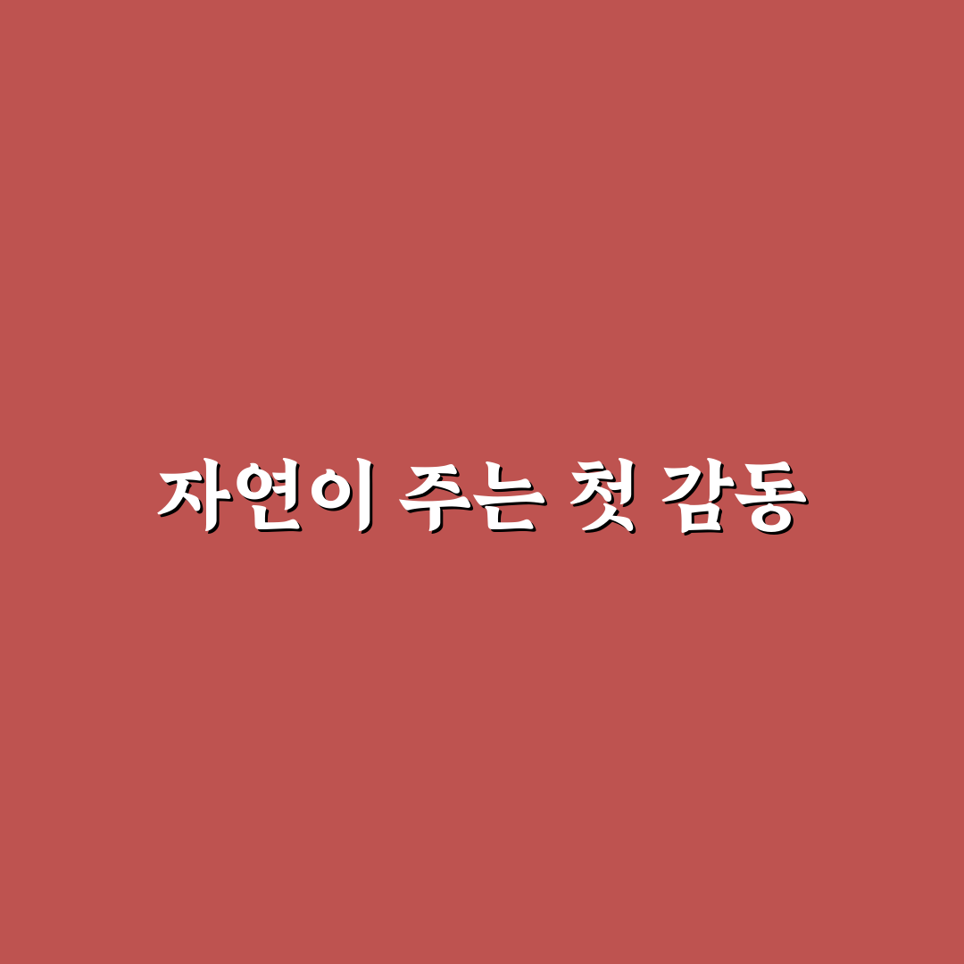 김해 등나무 꽃 방문 후기, 직접 가보니 분위기가 좋았어요
