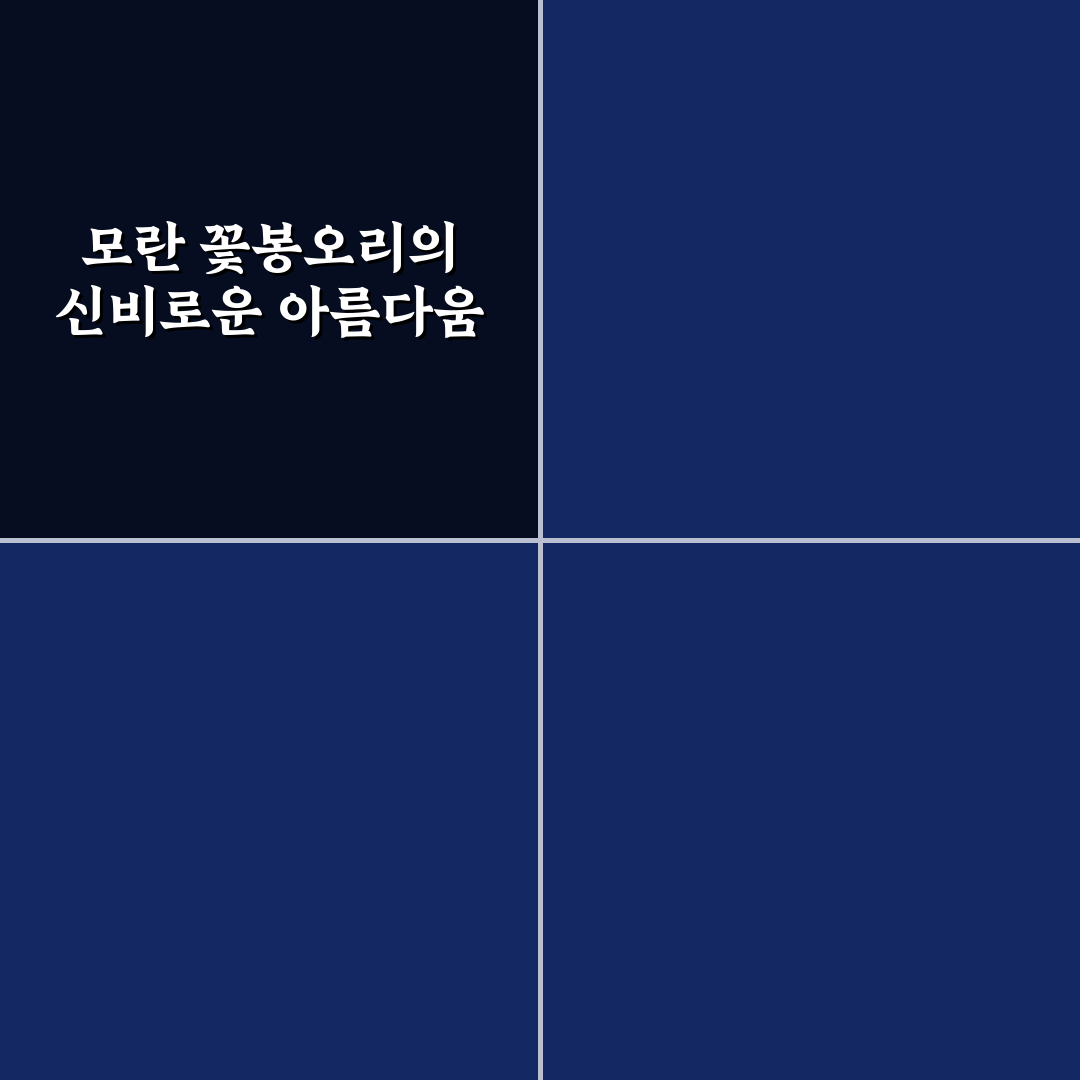 모란 꽃봉오리 직접 관찰해보니 변화 과정이 신기했어요