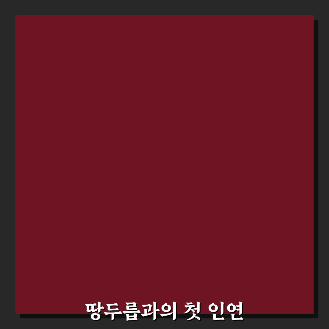 땅두릅 모종 심기 후기, 직접 해보니 알게 된 점