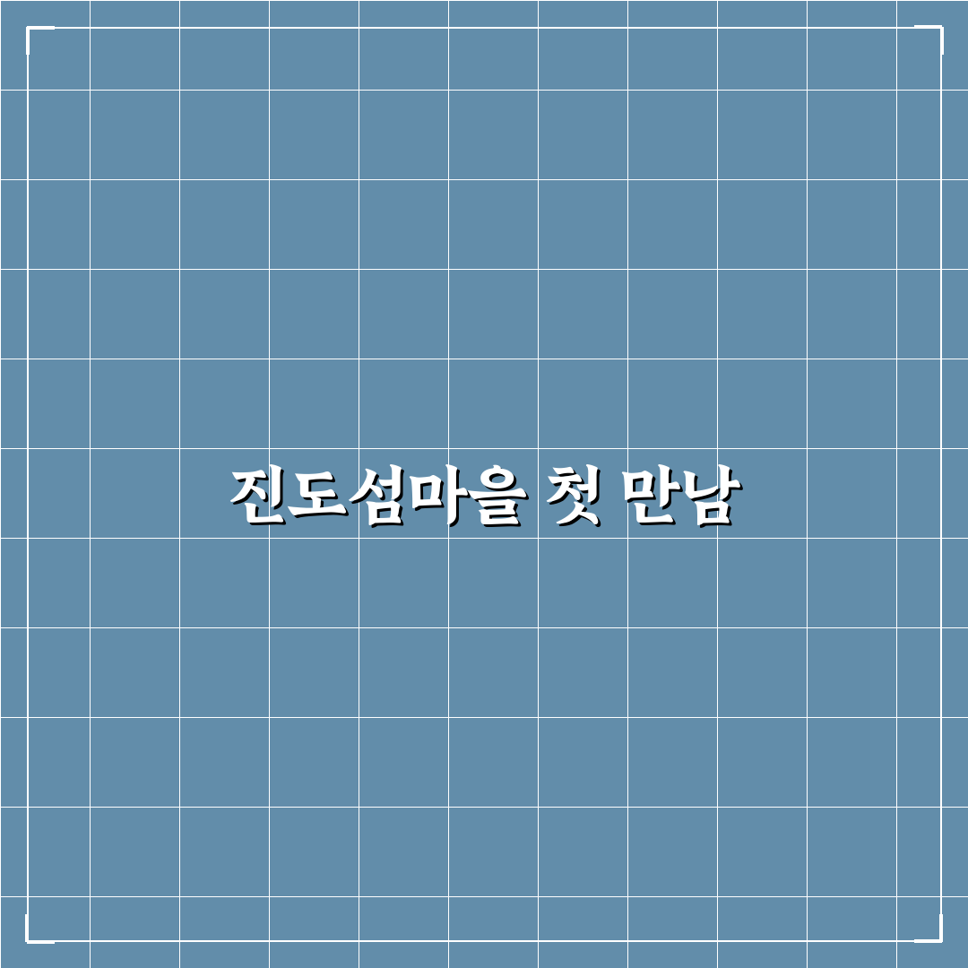 남광주시장 진도섬마을 방문 후기, 현장 분위기 솔직히 전해요
