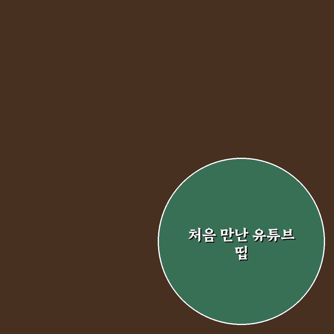 유튜브 띱 사용 후기, 직접 써보니 알게 된 점