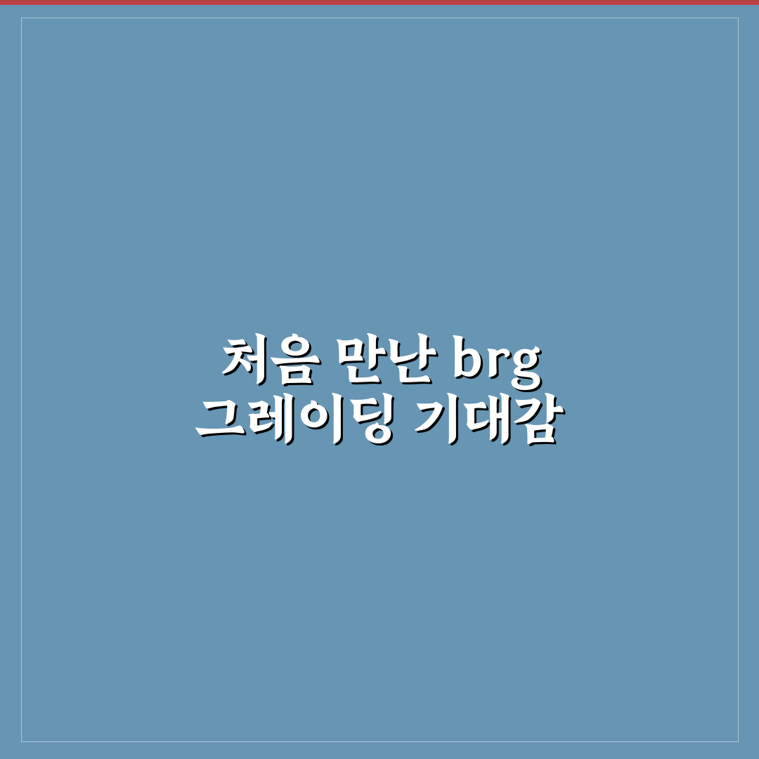 brg 그레이딩 진행 후기, 직접 알아보니 필요한 절차와 팁