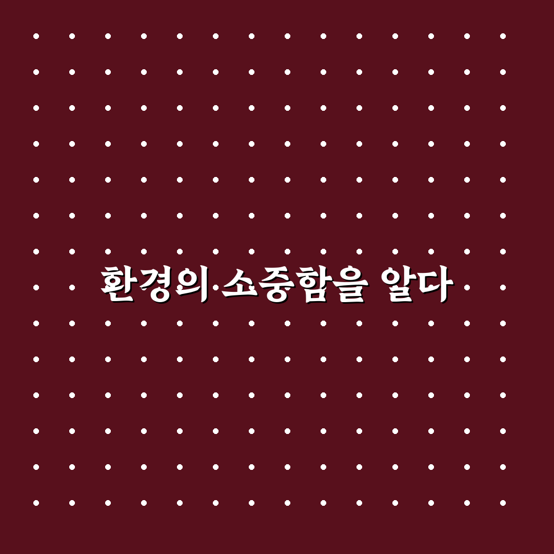 세계 환경의 날 종류, 직접 알아보니 차이점이 뚜렷했어요