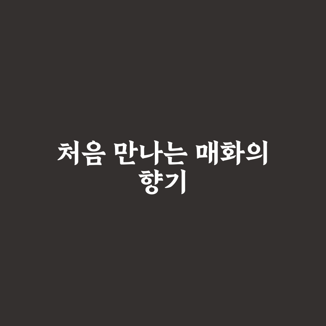 단종 매화 방문 후기, 직접 가보니 알게 된 점