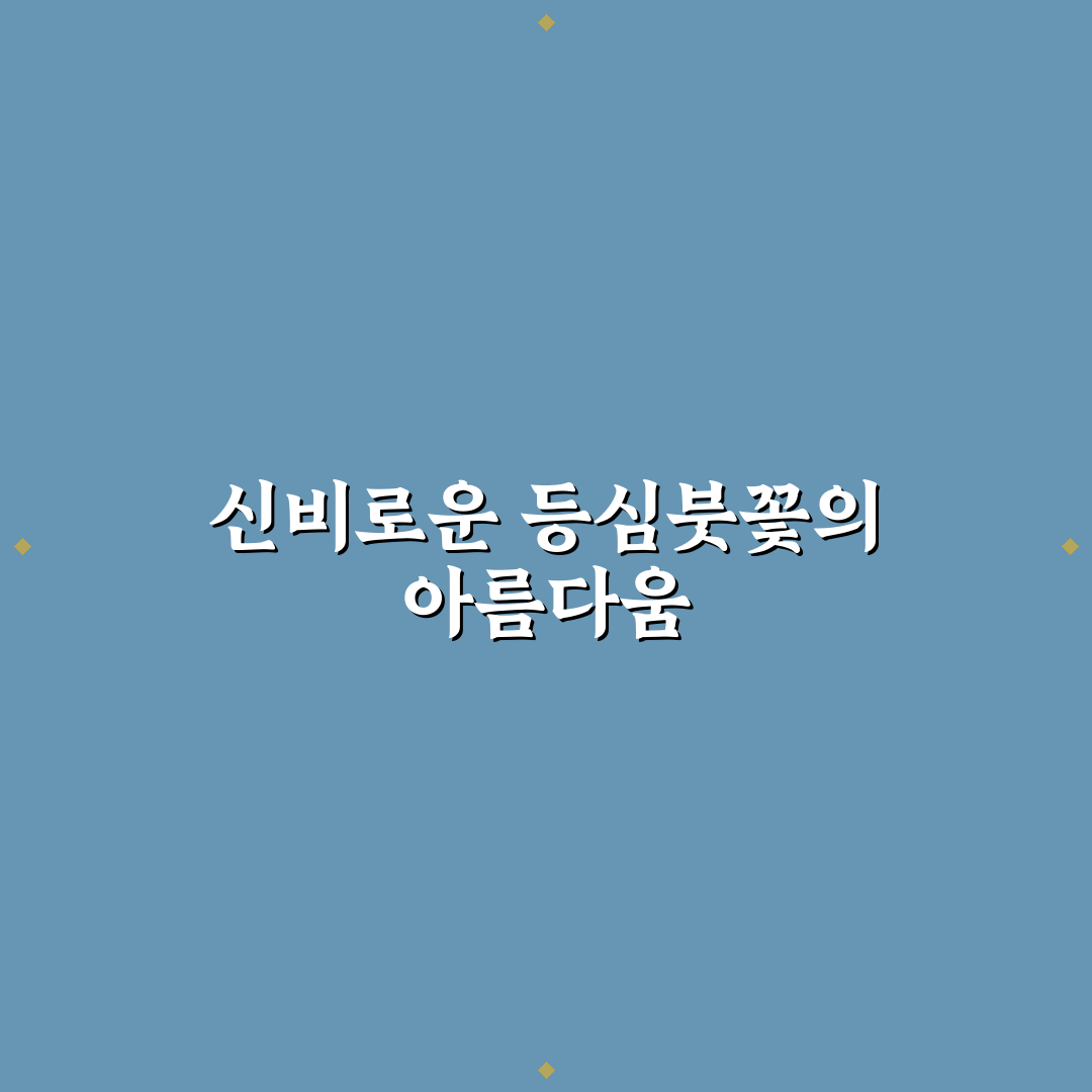 등심붓꽃 키우기 후기, 직접 가꿔보니 알게 된 점