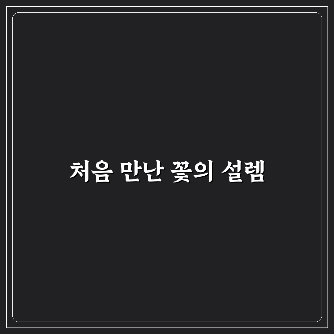 데이지꽃 축제 방문 후기, 직접 가보니 풍경과 분위기