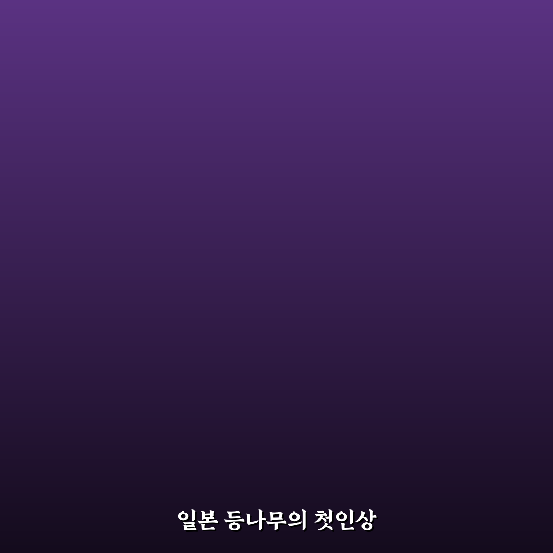 일본 등나무 축제 방문 후기, 직접 가보니 분위기와 볼거리