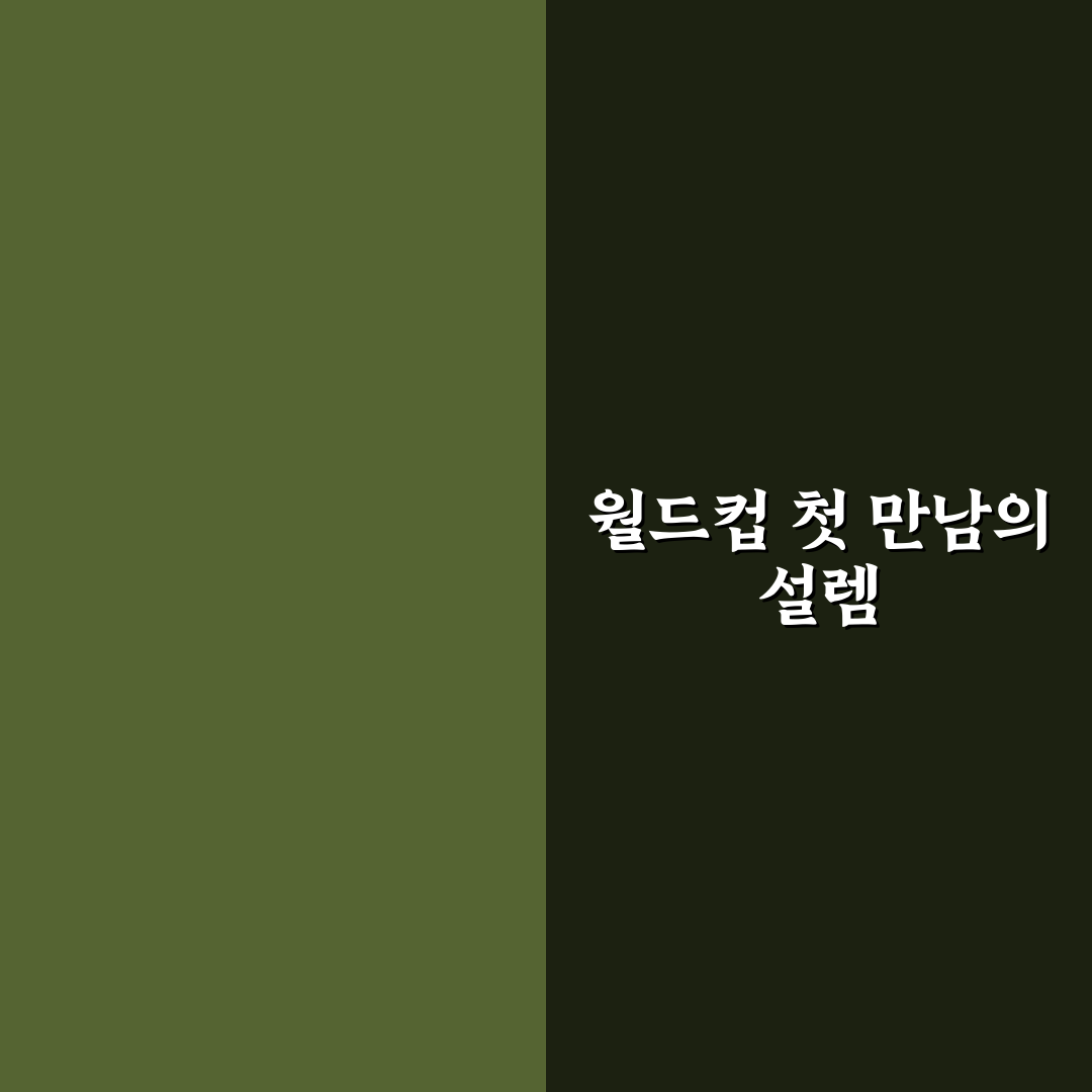 월드컵 치지직 직접 써보니 현장 분위기 생생했어요