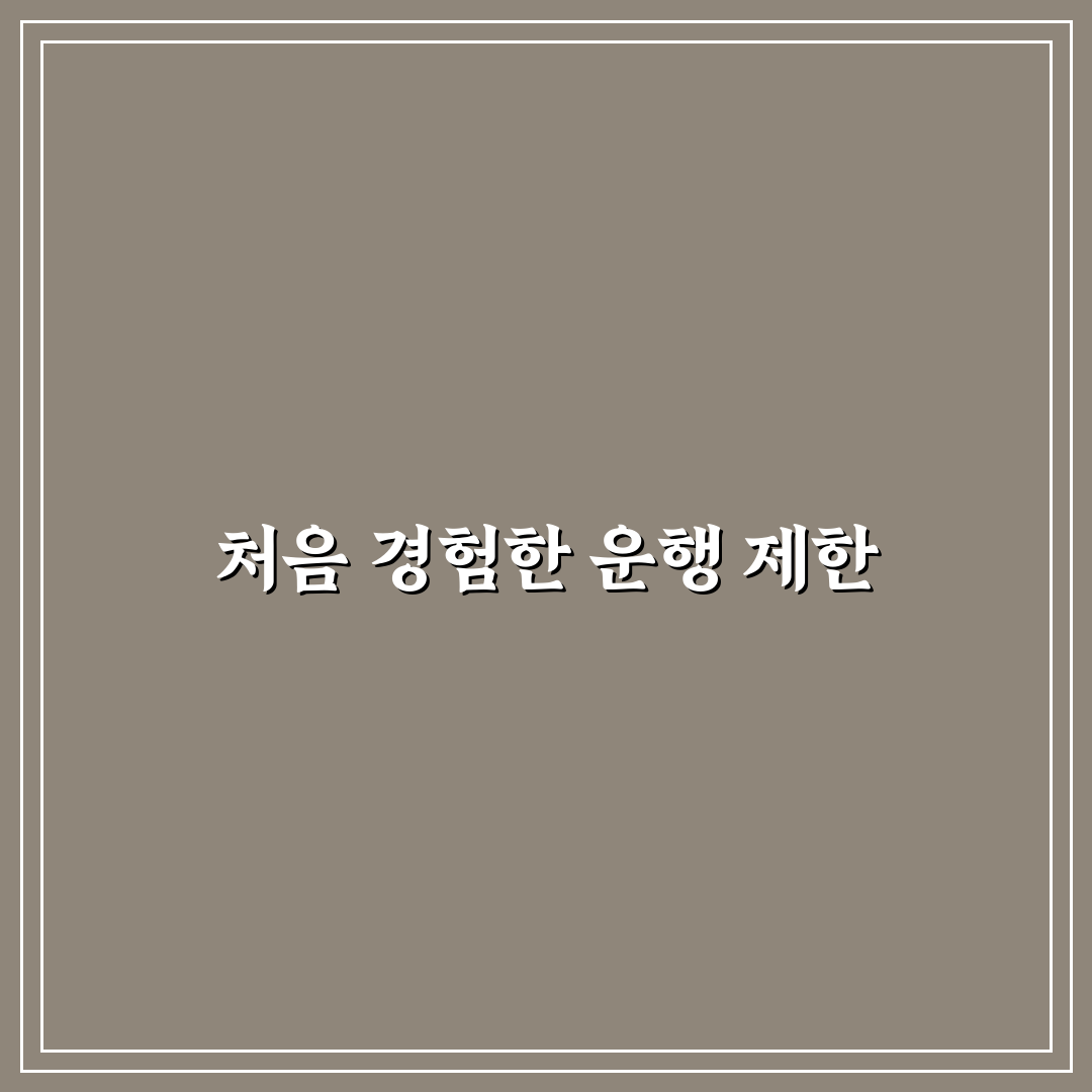 차량 2부제 나무위키 직접 알아보니 꼭 알아야 할 점