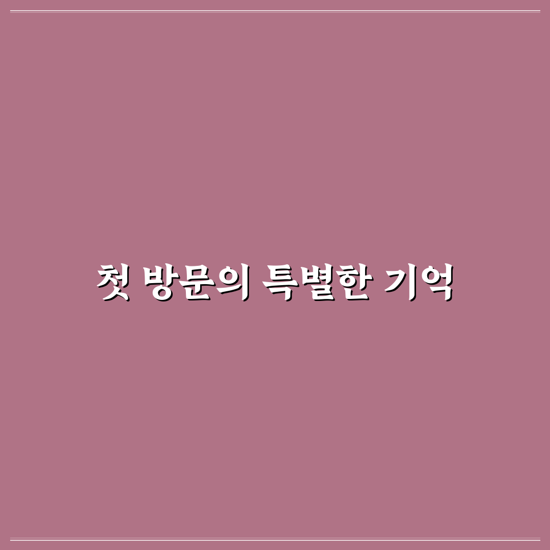 시흥사거리 다이소 방문 후기, 매장 분위기와 상품 구성