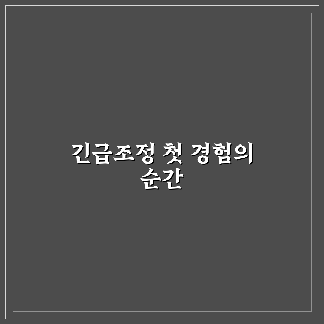긴급조정권 사례 직접 알아보니 꼭 알아둬야 할 점들