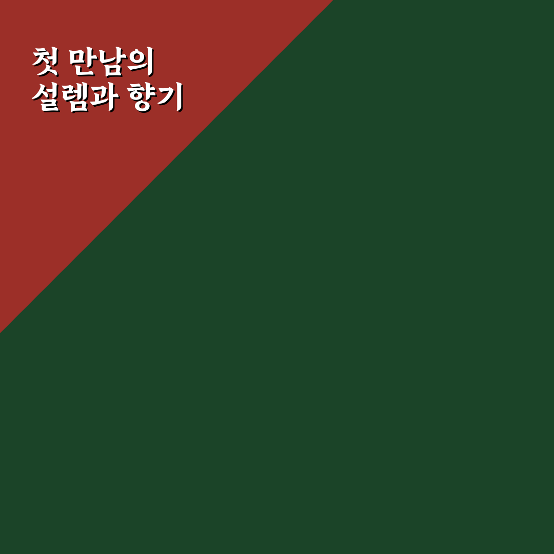 패랭이꽃 포토 촬영 후기, 직접 찍어보니 느낌이 달랐어요