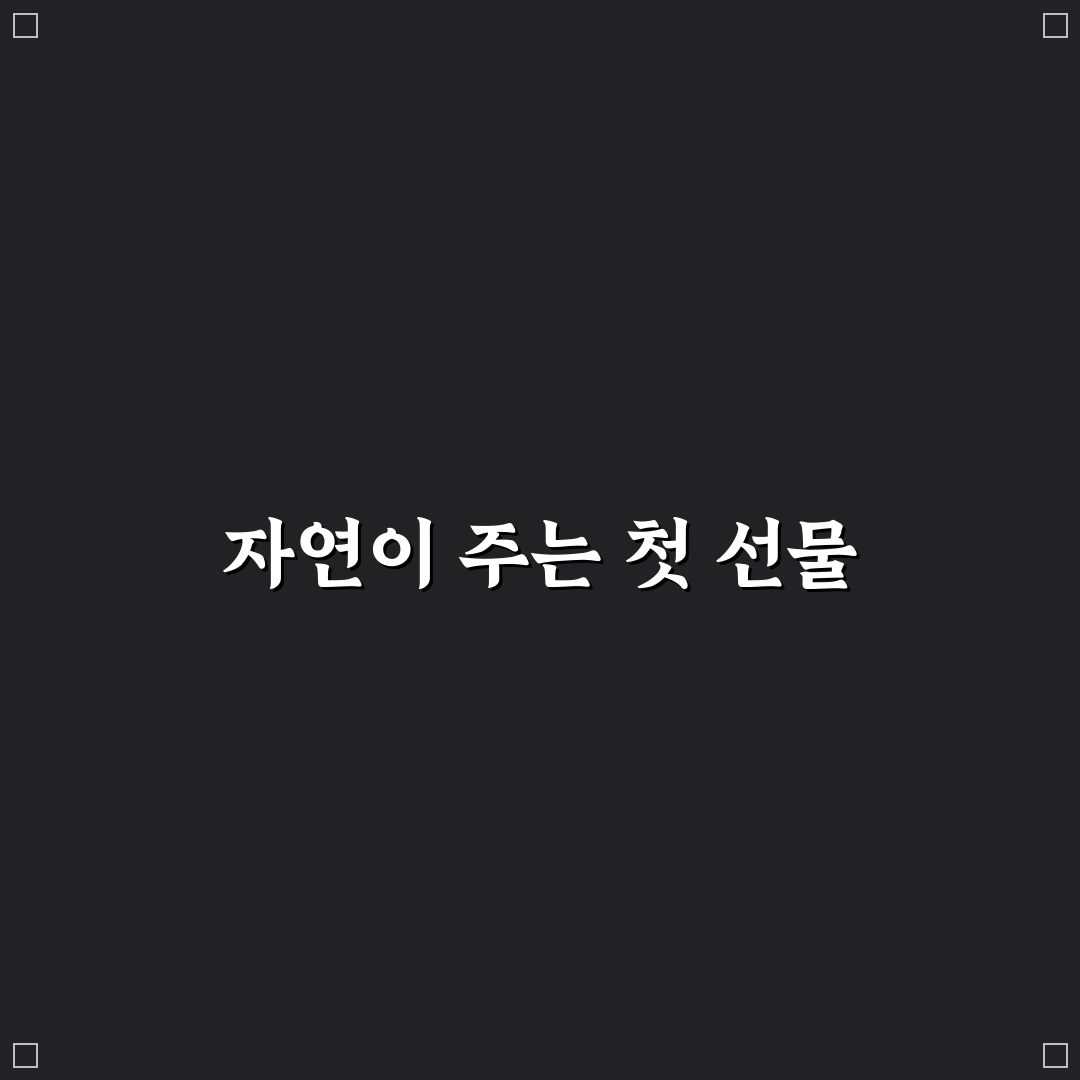 퇴촌 토마토 농장 방문 후기, 직접 가보니 신선함이 달랐어요