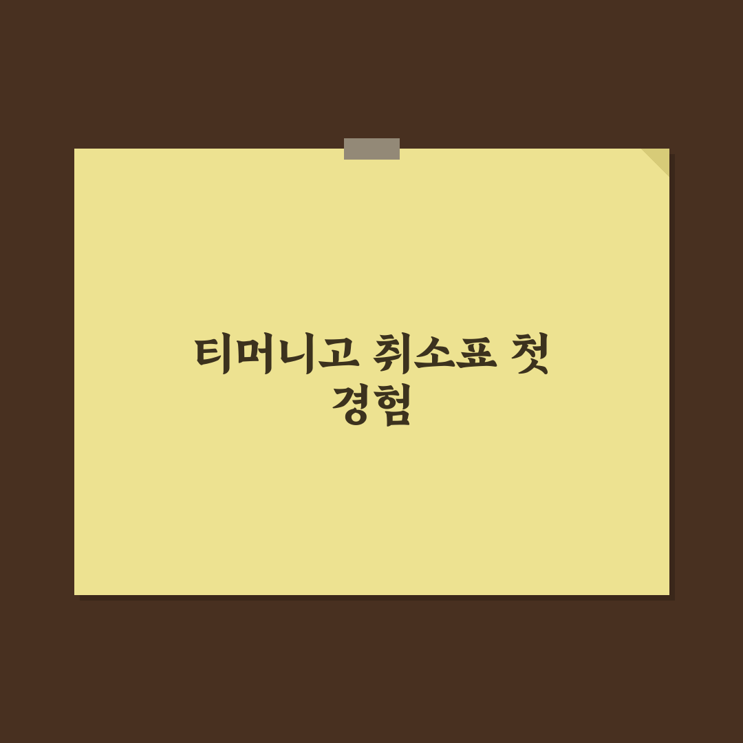 티머니고 취소표 신청 후기, 직접 이용해보니 알게 된 점