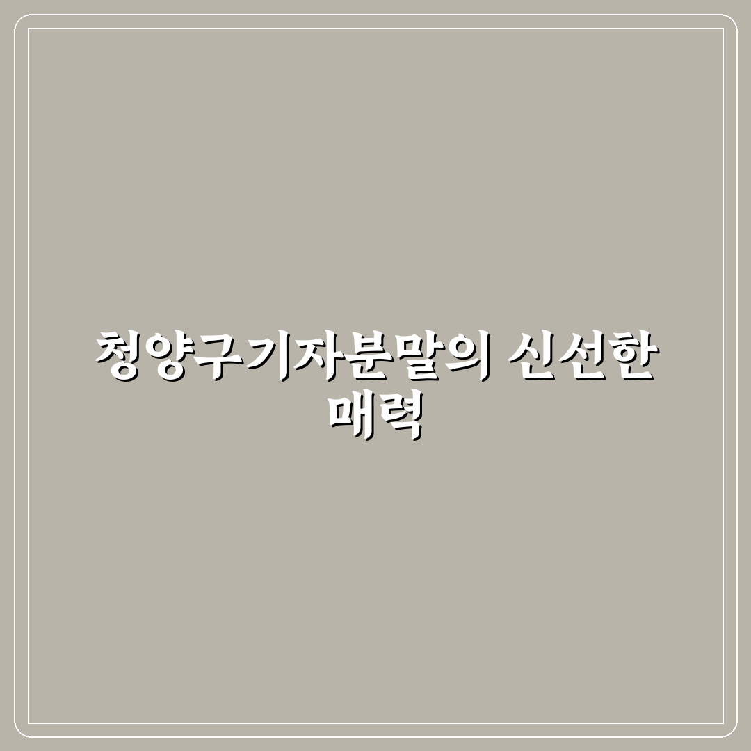 청양구기자분말효능 직접 써보니 느껴진 변화를 리뷰합니다