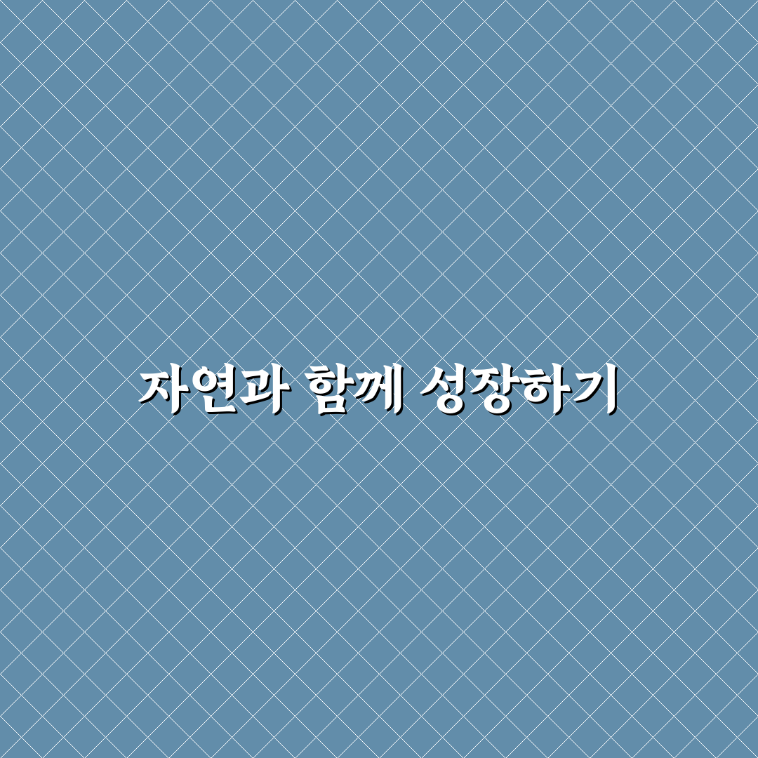 아보리스트 자격증 취득 후기, 준비 과정과 실전 경험