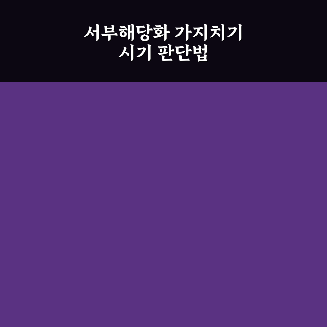 서부해당화 가지치기 기준과 효과 분석 가이드