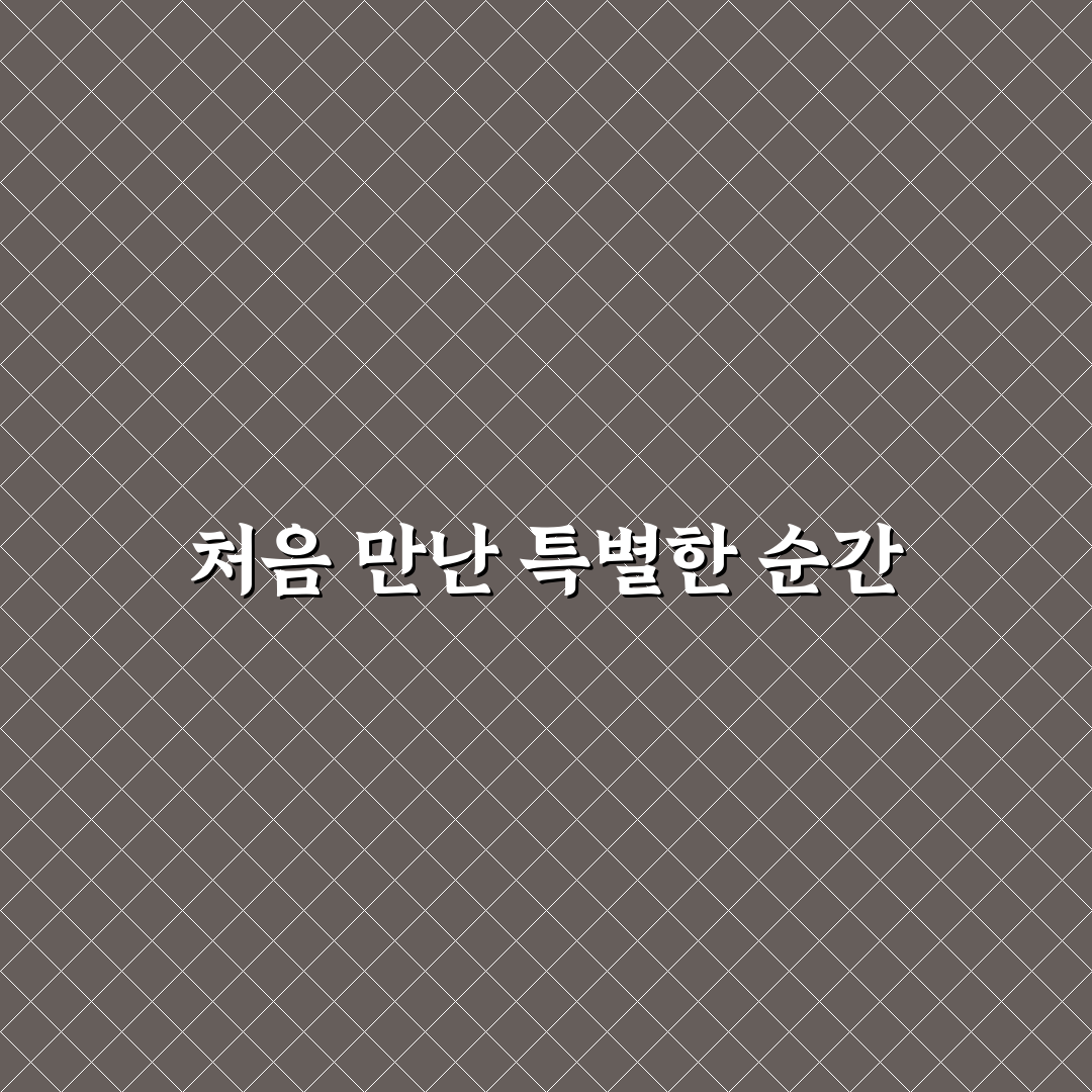 시절인연펜션 방문 후기, 직접 가보니 분위기가 어땠는지