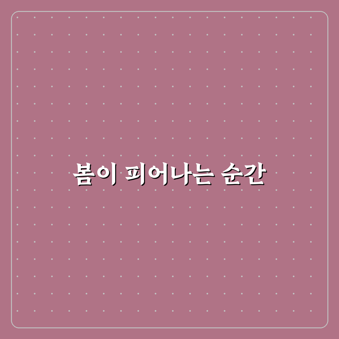 작약피는시기 직접 알아보니 꽃 피는 시기 변동점