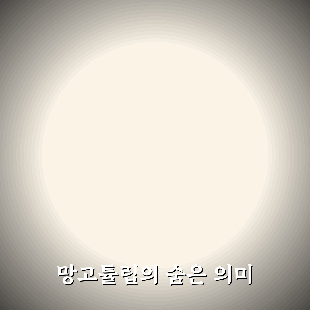 망고튤립 꽃말과 의미별 5가지 기준 비교 분석