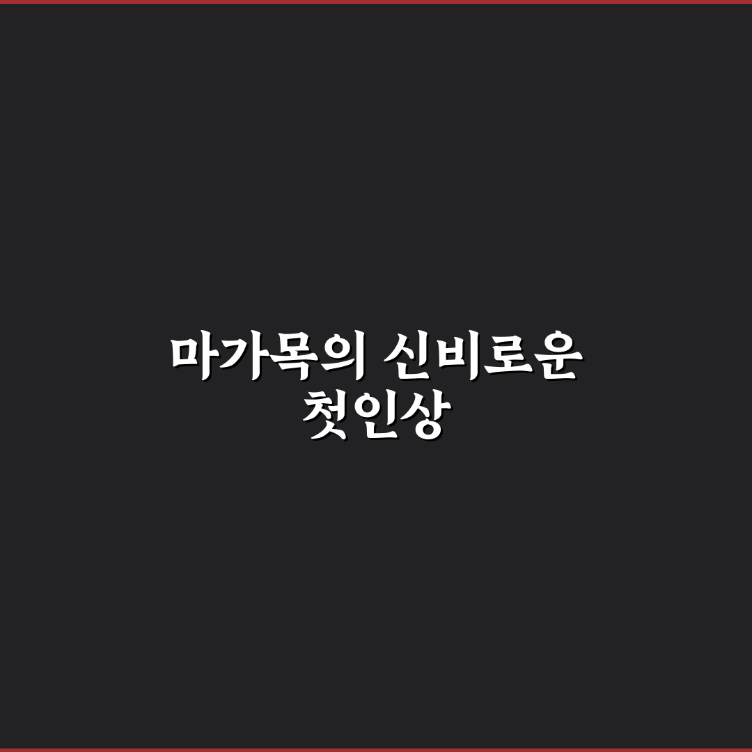 마가목 술 담는 법 직접 해보니 달라진 맛과 과정